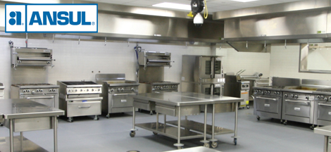 Authorized Dealer for ANSUL Restaurant Systems